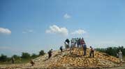 Panorama for træelskere. Materialler: skiveskåret eg, lærk, bøg, elm, birk, grus, halm baller. Land Art Lolland-Falster 2007.